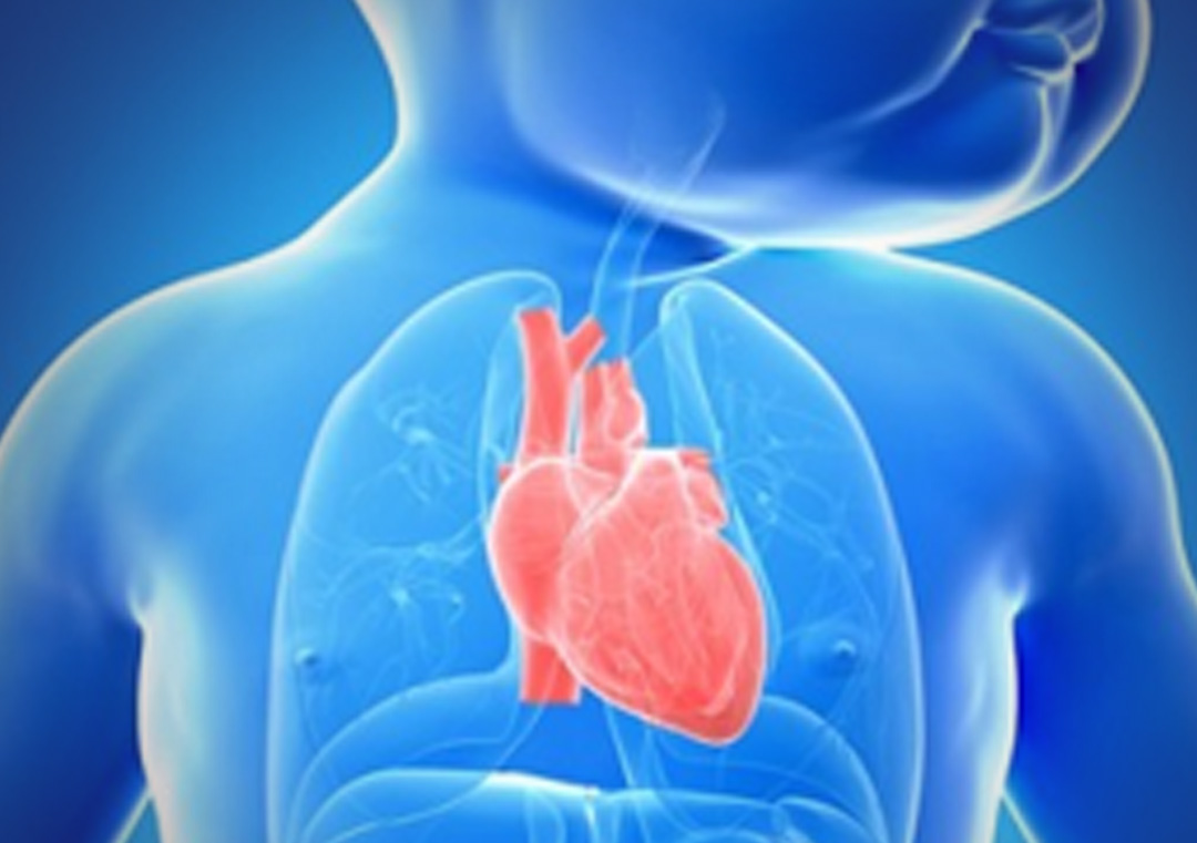 Dia Nacional de Conscientização sobre as Cardiopatias Congênitas