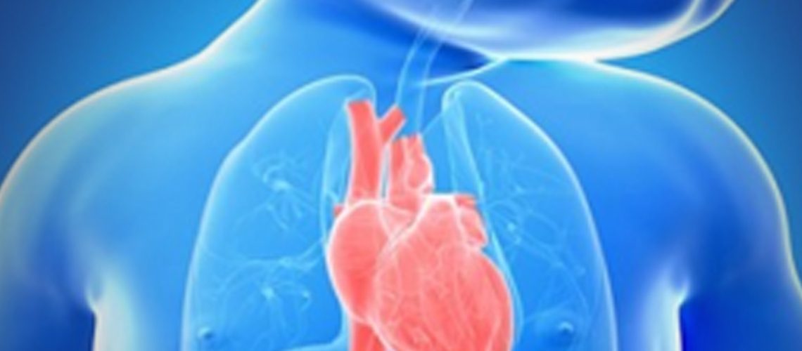 Dia Nacional de Conscientização sobre as Cardiopatias Congênitas